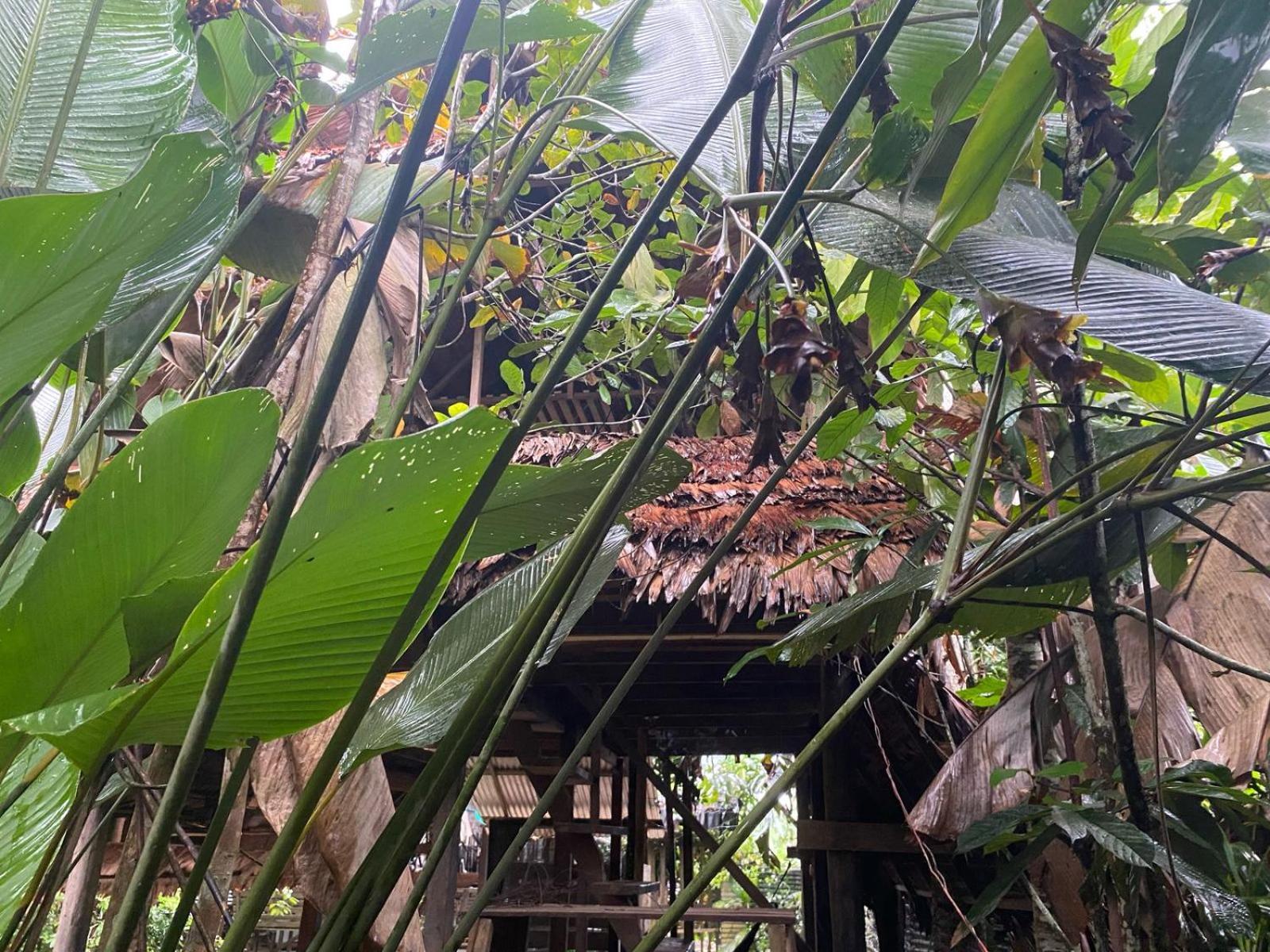Xingu Camping Site Leticia Bagian luar foto