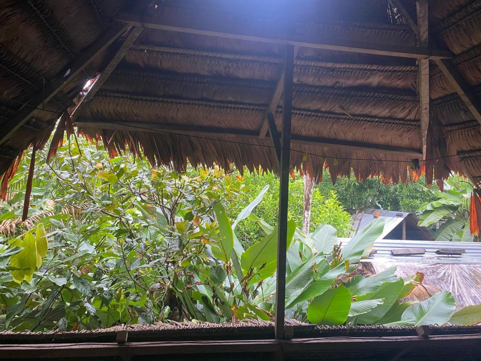 Xingu Camping Site Leticia Bagian luar foto