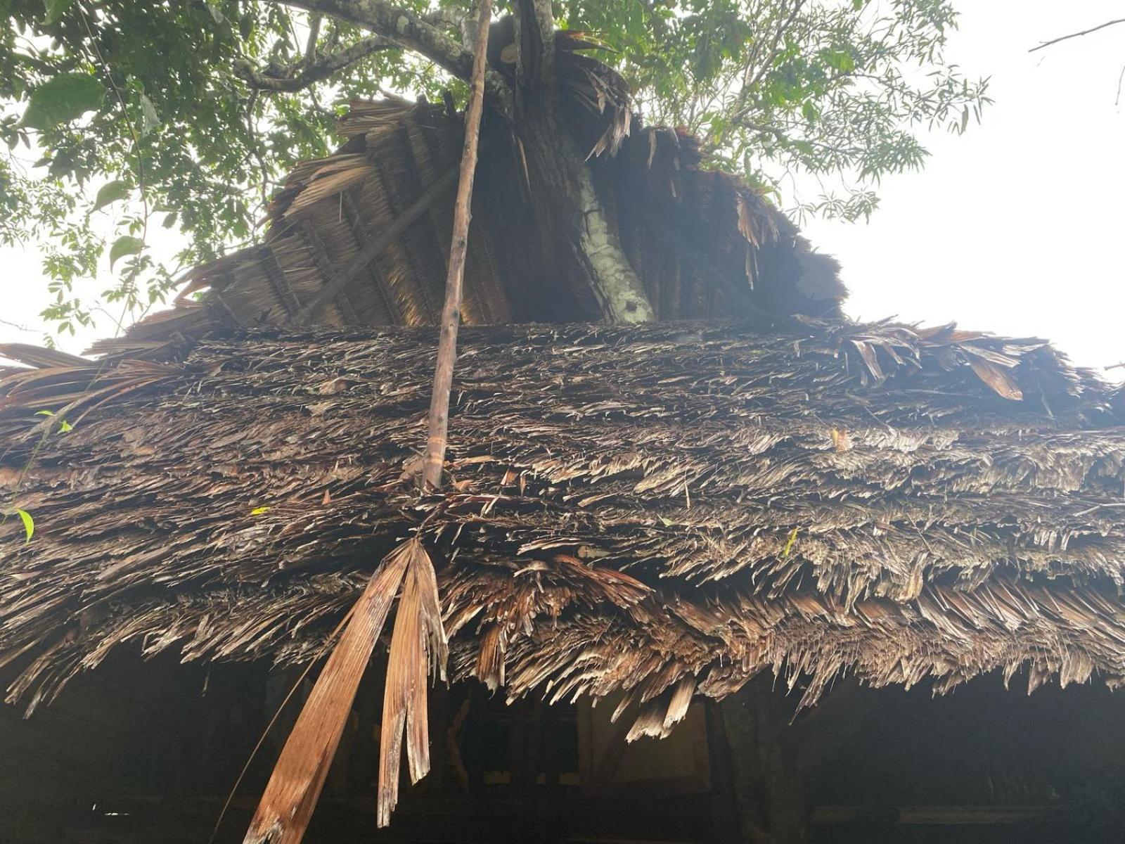 Xingu Camping Site Leticia Bagian luar foto
