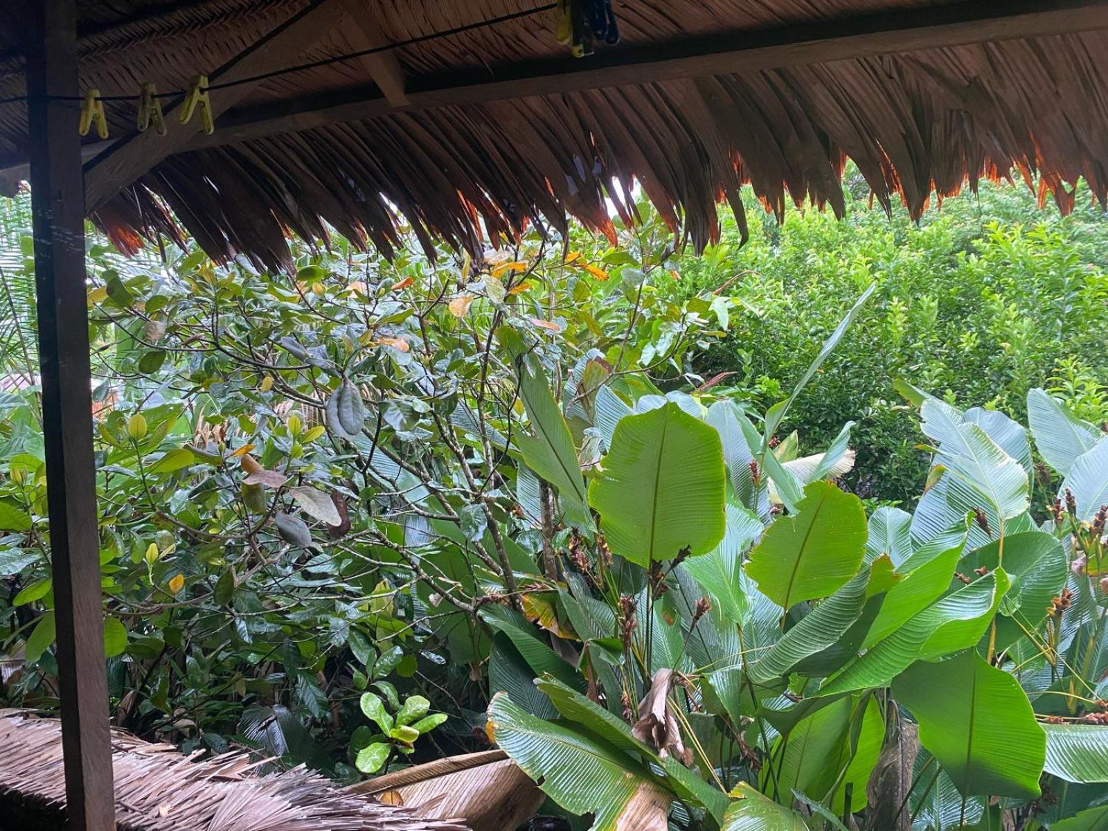 Xingu Camping Site Leticia Bagian luar foto