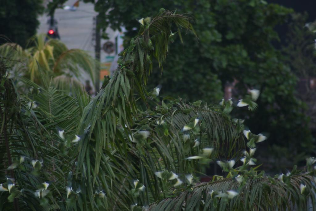 Xingu Camping Site Leticia Bagian luar foto