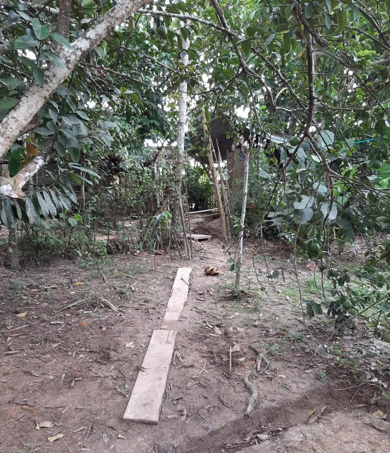 Xingu Camping Site Leticia Bagian luar foto
