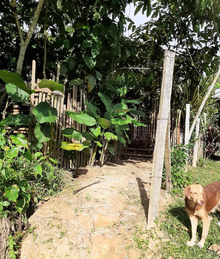 Xingu Camping Site Leticia Bagian luar foto