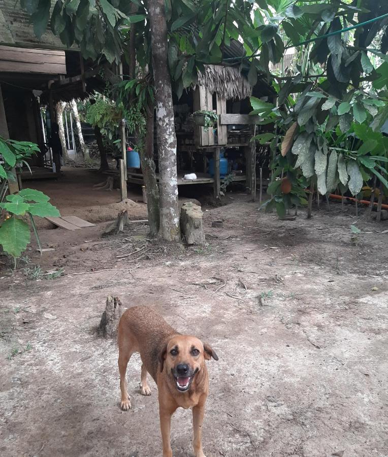 Xingu Camping Site Leticia Bagian luar foto