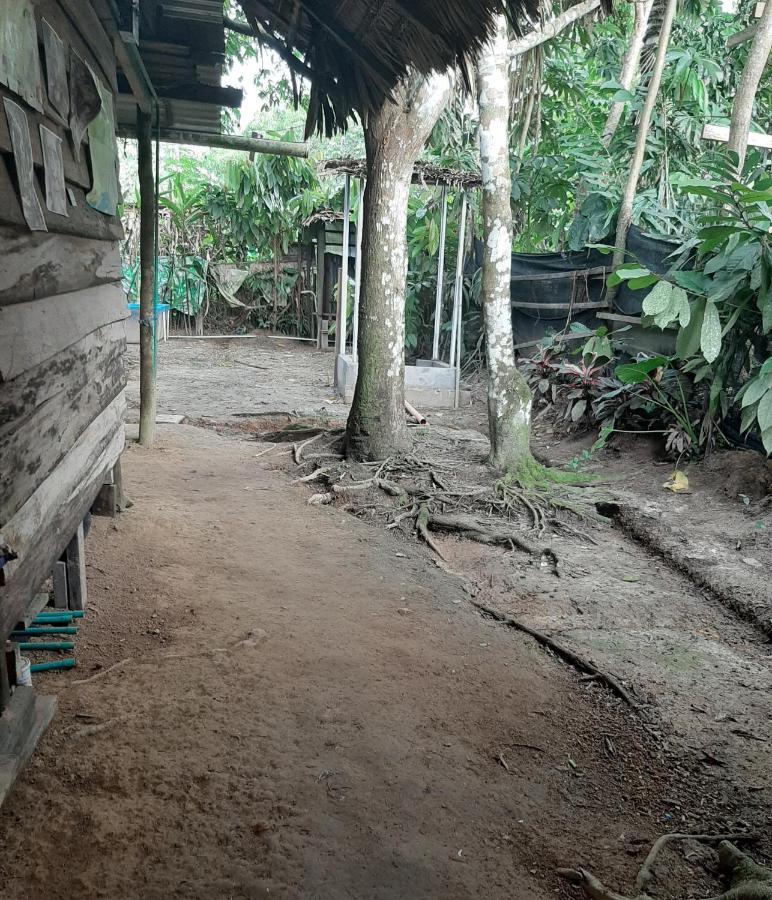 Xingu Camping Site Leticia Bagian luar foto